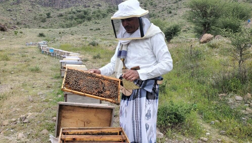 Raw Premium Sidr Honey - Yemen